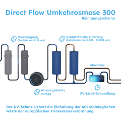 Reinungsschema